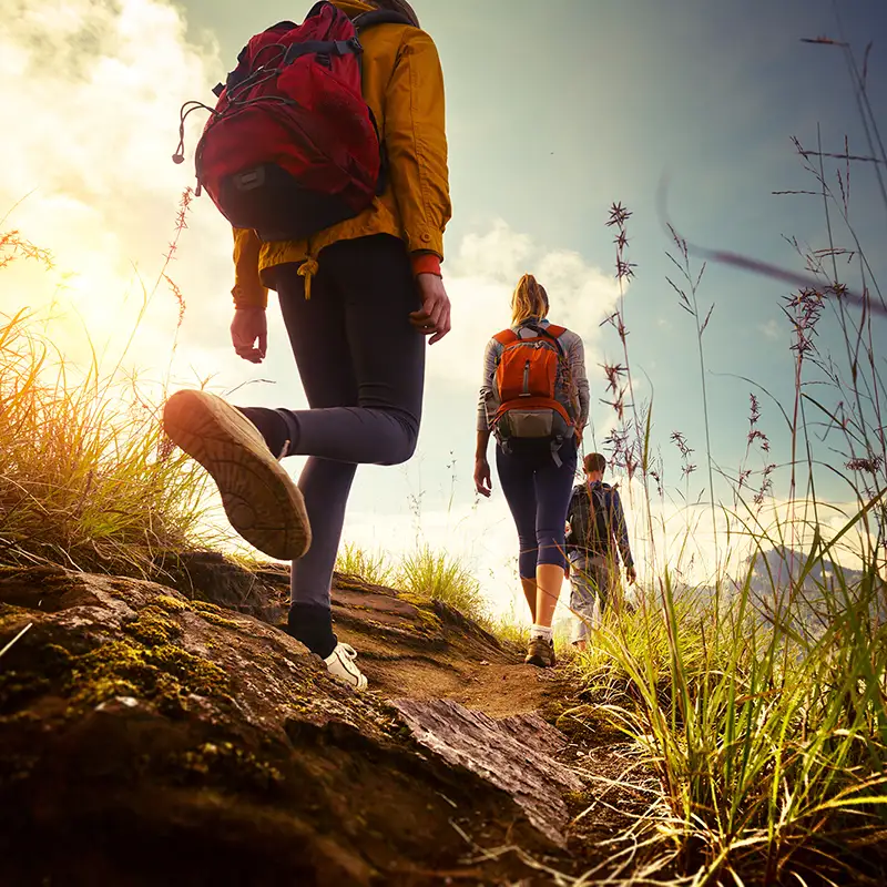 Eine Gruppe junger Wanderer